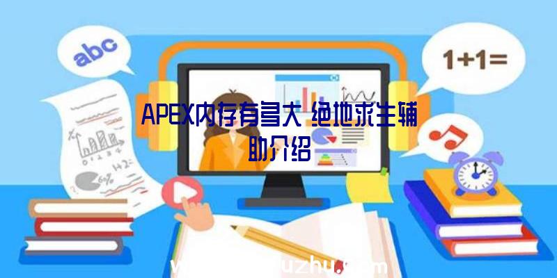 APEX内存有多大